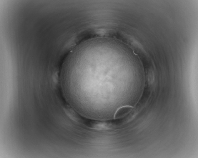 X0000115320611200911091158