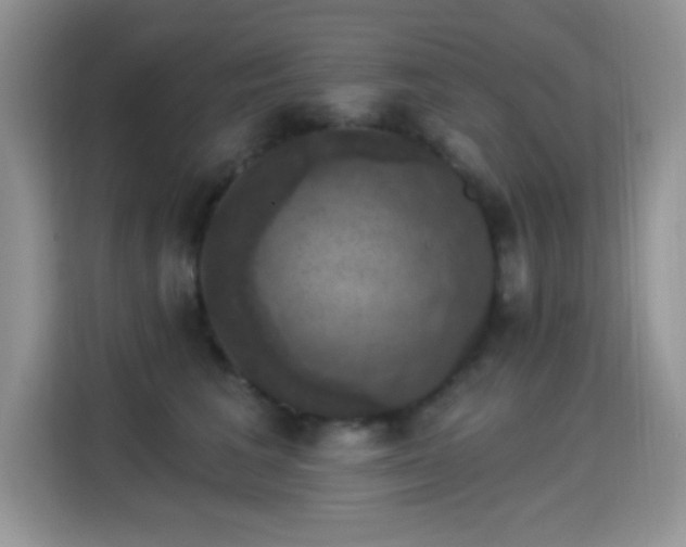 X0000115320613200911091158