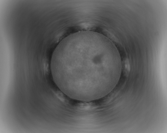 X0000115320615200911091158