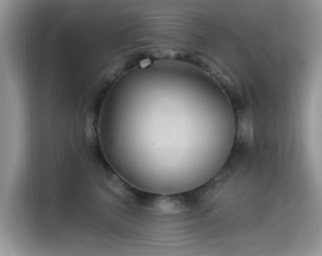X0000115320616200911091158