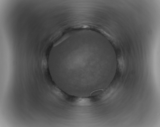 X0000115320617200911091158