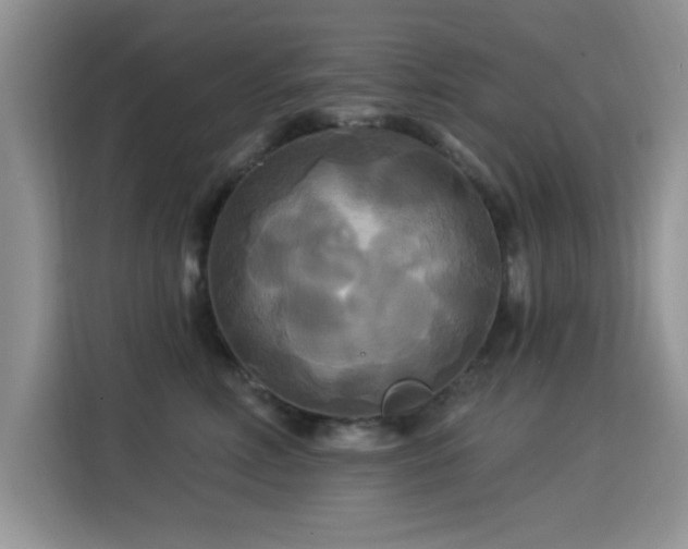 X0000115320618200911091158