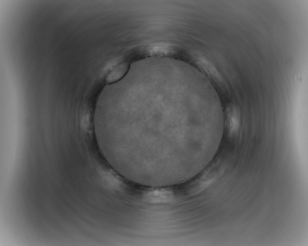 X0000115320619200911091158