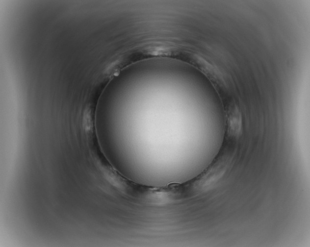 X0000115320620200911091158