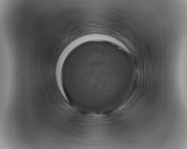 X0000115320621200911091158