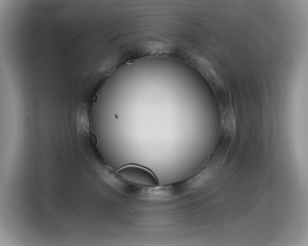 X0000115320622200911091158