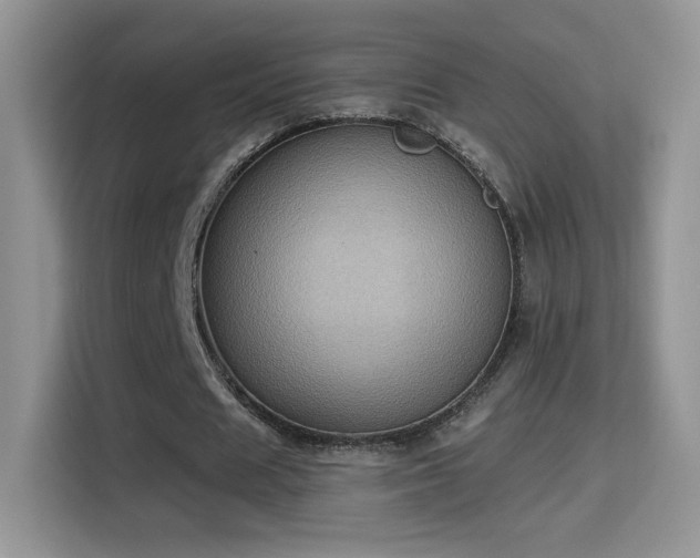 X0000115320625200911091157