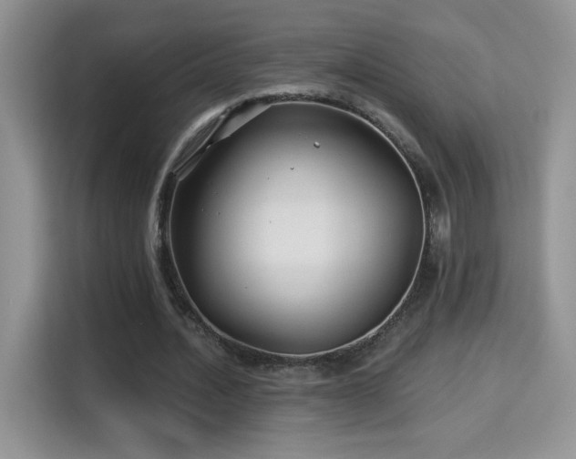 X0000115320628200911091157