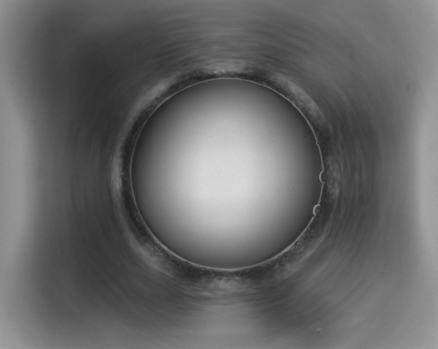 X0000115320631200911091157