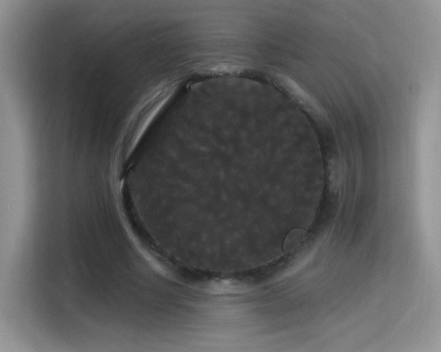 X0000115320634200911091157