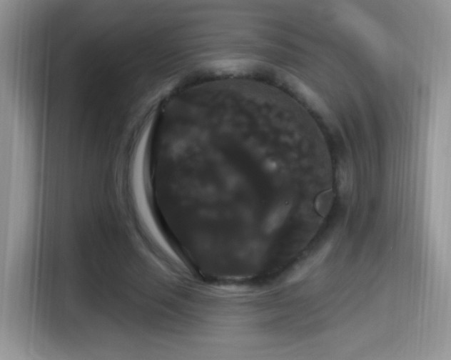 X0000115320637200911091157