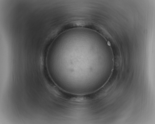 X0000115320639200911091157