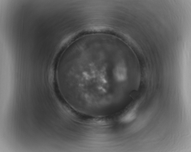 X0000115320640200911091157