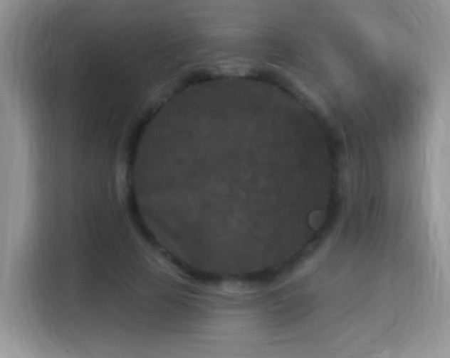 X0000115320641200911091158