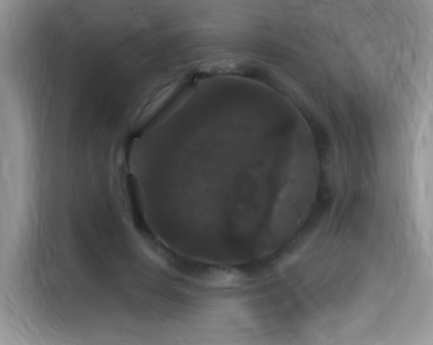 X0000115320642200911091158