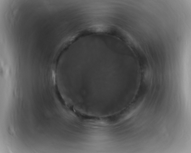 X0000115320643200911091158