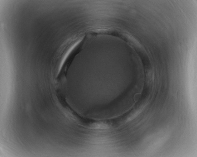 X0000115320644200911091158