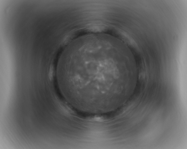 X0000115320647200911091158