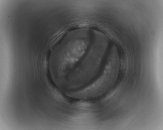X0000115320648200911091158