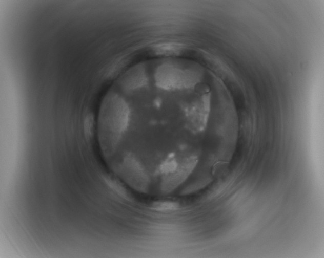 X0000115320649200911091158