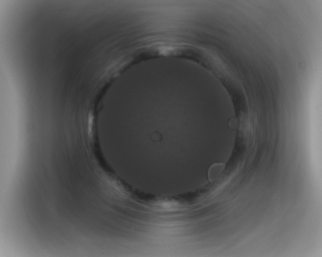 X0000115320650200911091158