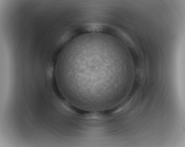 X0000115320652200911091158