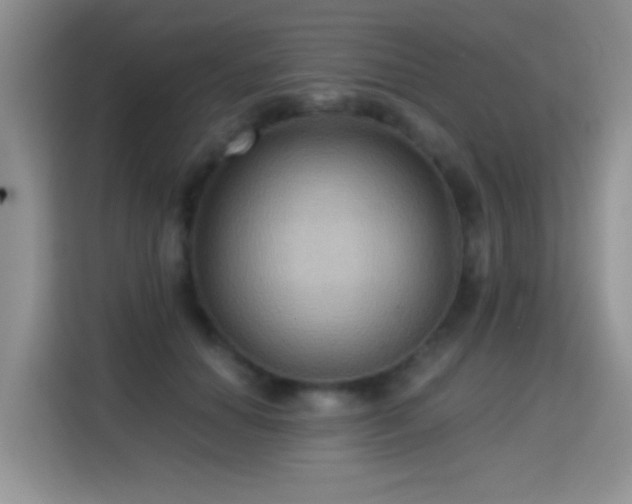 X0000115320654200911091158