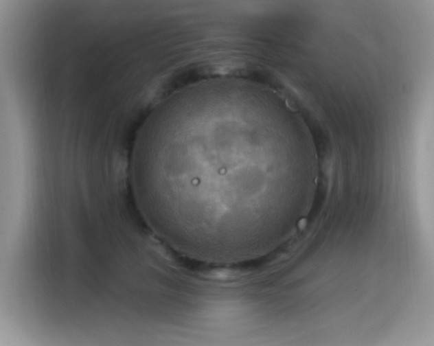 X0000115320657200911091158