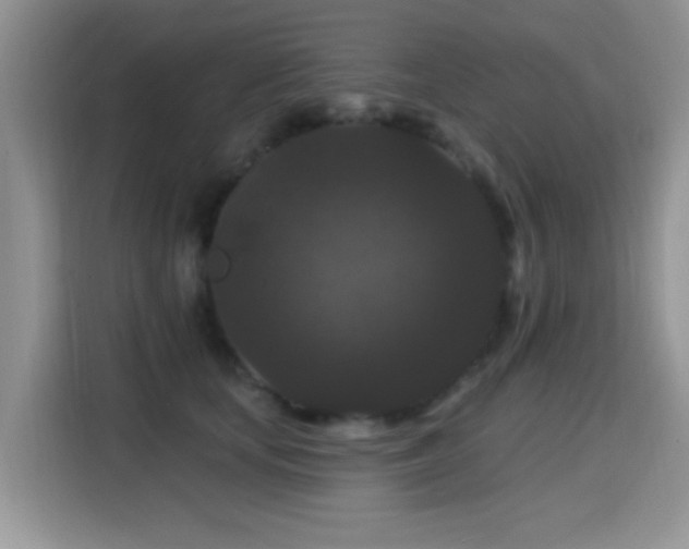 X0000115320659200911091158