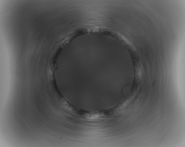 X0000115320661200911091158