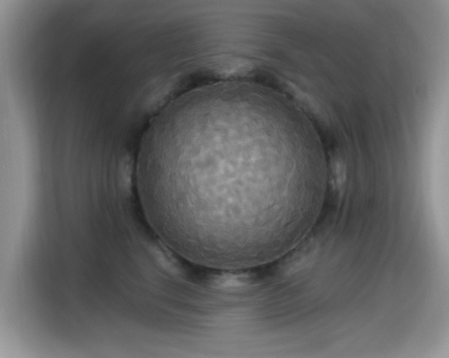 X0000115320664200911091158