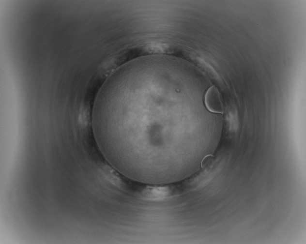 X0000115320665200911091158