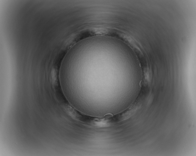 X0000115320667200911091158