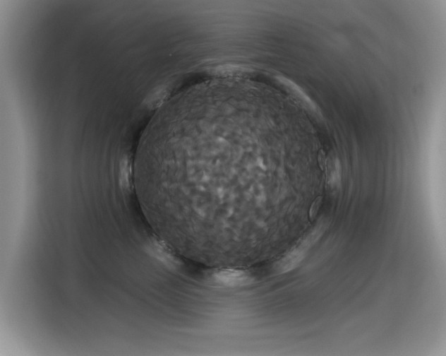 X0000115320669200911091158