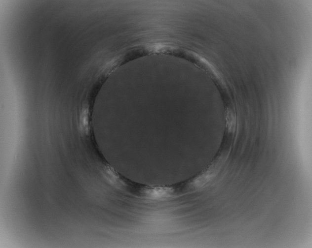X0000115320670200911091158