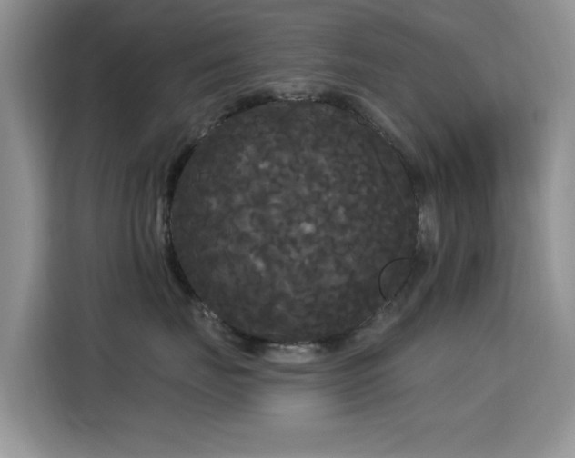X0000115320671200911091158