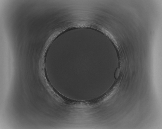 X0000115320673200911091157