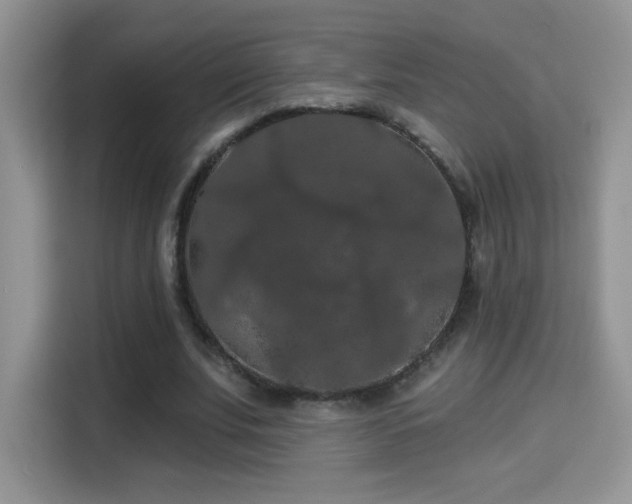 X0000115320679200911091157