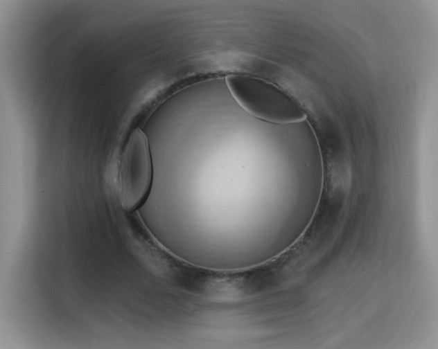 X0000115320680200911091157
