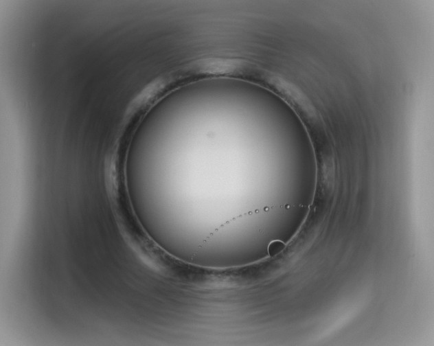 X0000115320682200911091157