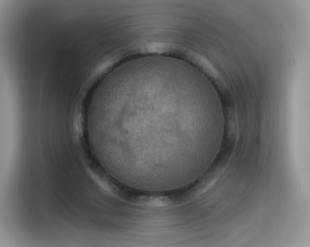 X0000115320683200911091157
