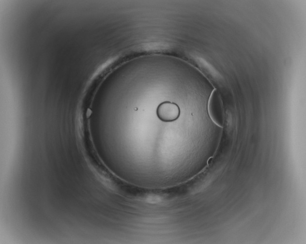 X0000115320684200911091157