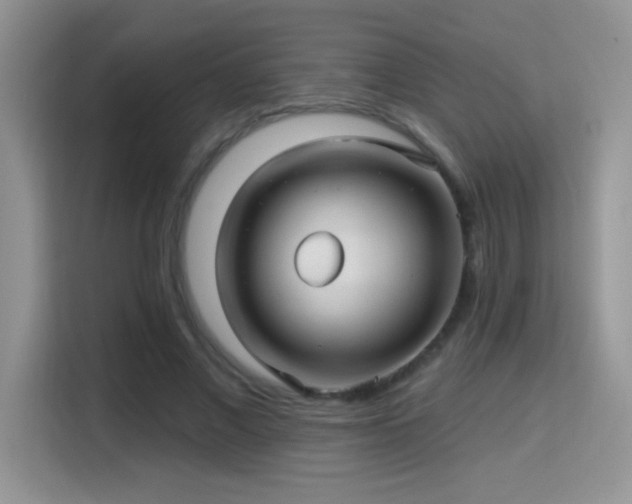 X0000115320685200911091157