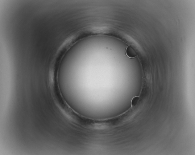 X0000115320686200911091157