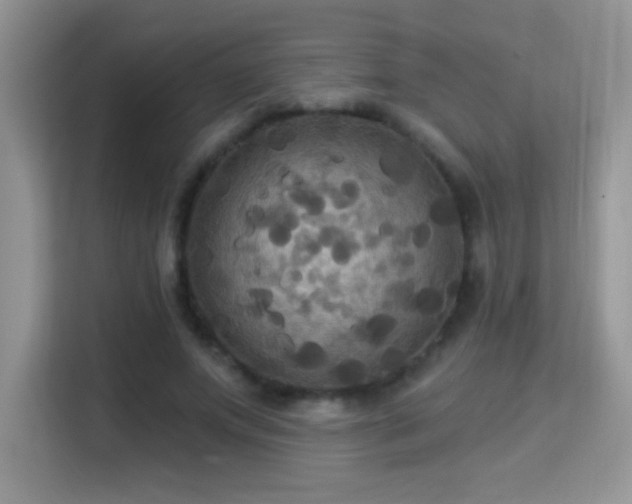 X0000115320687200911091157