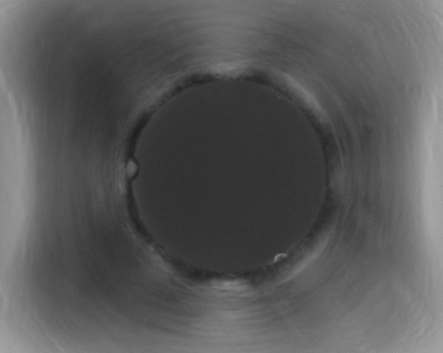 X0000115320689200911091157