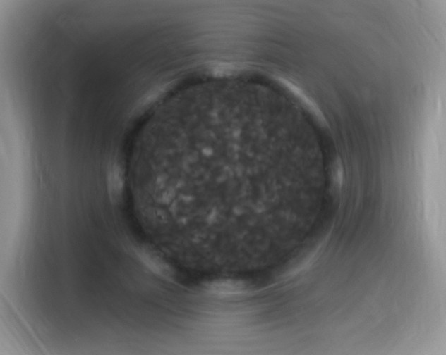 X0000115320691200911091157