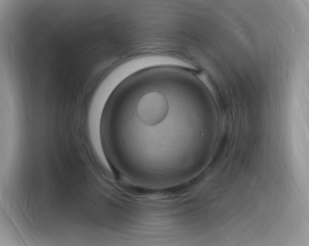 X0000115320692200911091157