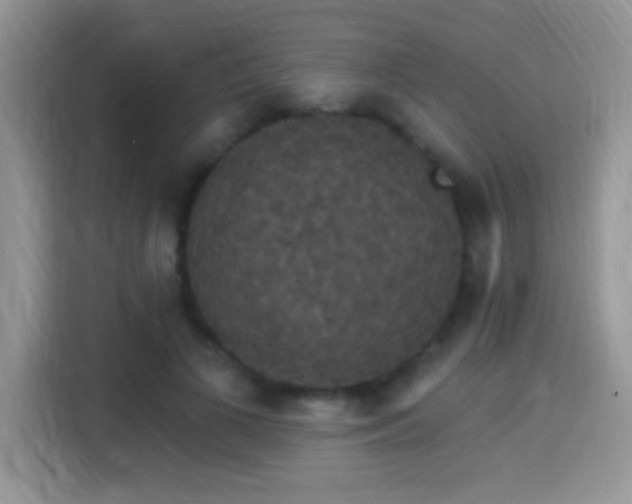 X0000115320693200911091157