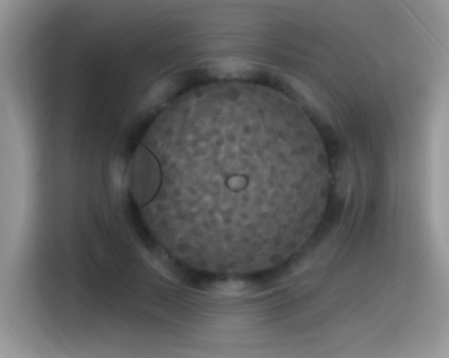 X0000115320695200911091157